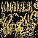 Scrobiculus - Pulverized suppurations