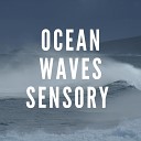 Sounds of Nature Pro - Boracay Waves