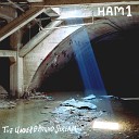 Ham1 - Will You Ever See Me Again