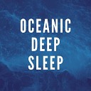 Deep Sleep FX - Deep Sleep Waves