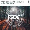 Fady Mina - Push Through Extended Mix