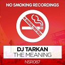 DJ Tarkan - The Meaning