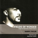 Darryl Taylor - Fields of Wonder In Time of Silver Rain