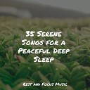 Best Relaxing SPA Music, Tibetan Singing Bowls for Relaxation, Sleeping Baby Songs - Winds of the Forest