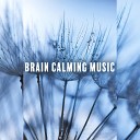 Brain Waves Music Academy - Blissful Stillness