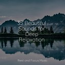 Music to Relax in Free Time Relaxing Sleep Sound Pink… - Woodside Busy Critters