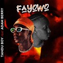 TANDU BOY feat ADAM BERRY - FAYOWO
