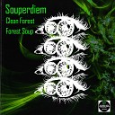 Souperdiem - Forest Soup