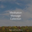 Tranquility Spa Universe Massagem Cole o de M sicas Spa Relaxation… - Absolute Zen