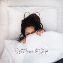 Sleeping Music Zone - Flowing Dusk