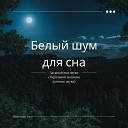 White Noise Guru - Засыпаю белым шумом Глубокий сон…