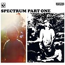 Spectrum - Fiddling Fool