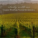 Sebastian Riegl - Calming Wineyard Nature Soundscape Pt 7