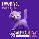 Mauro Di Leo - I Want You Extended Mix
