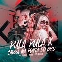 MC ERIKAH DJ Silv rio MC BL feat Love Funk - Pula Pula X Sarra na Ponta do Bico
