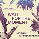 Vandelux BUZZ - Wait For The Moment Morgin Madison Remix