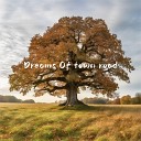 Mike Grant - Dreams Of Town Road