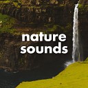 Sleep Sounds Of Nature - Birds Version 2 Mix