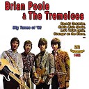 Brian Poole The Tremoloes - Hey Baby
