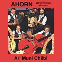 Schwyzer rgeli Quartett Ahorn - Uf Innerschwyzer Art