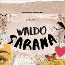 Waldo - Sarana
