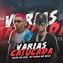 Gato Na Voz, DJ RUAN NO BEAT - Varias Catucadas