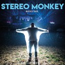 Stereo Monkey - Acid