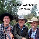 Bushwahzee - The Country and Western Singer