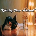 Relaxing Music Musica para dormir profundamente meditation… - Powerful Good Energy