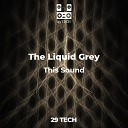 The Liquid Grey - This Sound Original Mix
