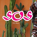 TDZ feat TDZ Music Group - SOS Remix