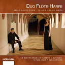 Dejan Gavric Silke Aichhorn - 20 m lodies Recueil II No 8 in E Major A Chloris Arrangement for Flute and…