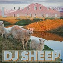 DJ SHEEP feat Luici Galconi - Feel the Same Radiocut