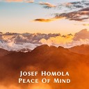 Josef Homola - Blissful