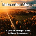 Relaxing Music by Rey Henris Yoga Relaxing… - Relaxation Music Pt 67