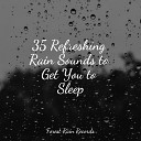 Nature Sound Series The Sleep Specialist Deep Relaxation Meditation… - Rolling Forest Rains