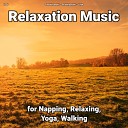 Soothing Music Relaxing Music Yoga - Relaxation Music Pt 67