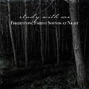Sebastian Riegl - Frightening Forest Sounds at Night Pt 12