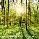Steve Brassel - Chill and Fresh Summer Morning Forest Ambience Pt…