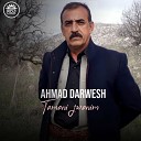 Ahmad Darwesh - Maqam Nizam Hay Nizam