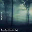 Steve Brassel - Spooky Forest Sounds at Night Pt 12