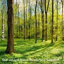 Steve Brassel - Chill and Fresh Summer Morning Forest Ambience Pt…