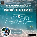 Vivek Verma - Feelings Of The Ocean Sounds of Nature Vol 1