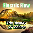 Electric Flow - The beauty of nature