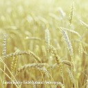 Steve Brassel - Green Barley Field Natural Ambience Pt 4