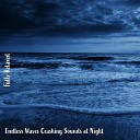 Steve Brassel - Endless Waves Crashing Sounds at Night Pt 11