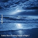 Steve Brassel - Endless Waves Crashing Sounds at Night Pt 13