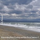 Steve Brassel - Rejuvenating Waves Crashing and Rain Beach Ambience Pt…