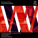 NECTAR EXPERIENCE - Exit Turbulences Original Mix