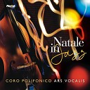 Coro Polifonico Ars Vocalis Carmine Leonzi feat Mauro De Federicis Fabrizio… - Puer Natus